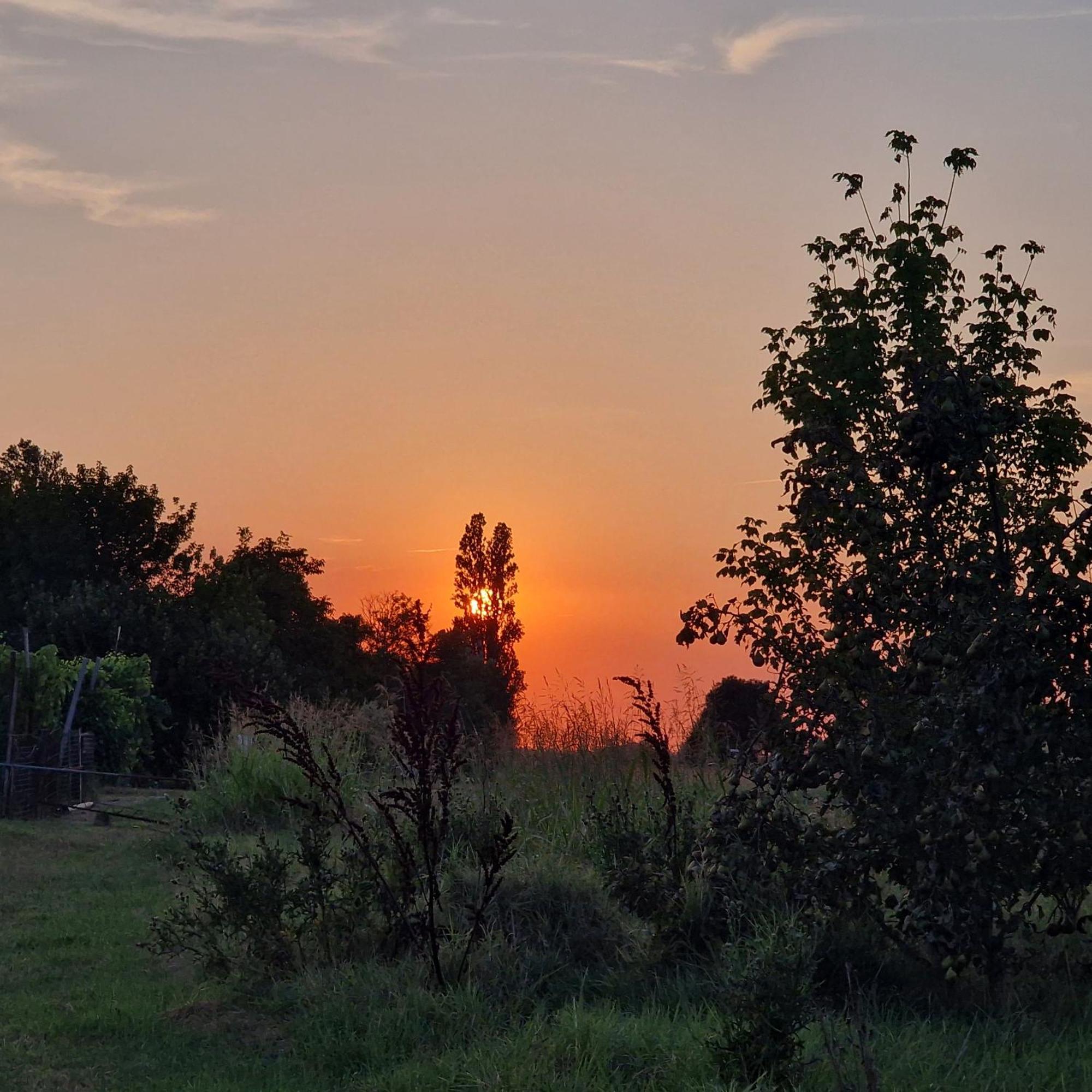 Appartamento Divino Tramonto Altedo Exterior photo