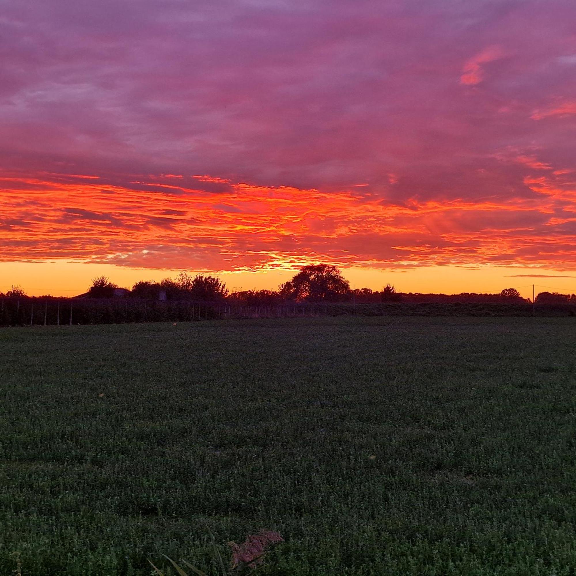 Appartamento Divino Tramonto Altedo Exterior photo