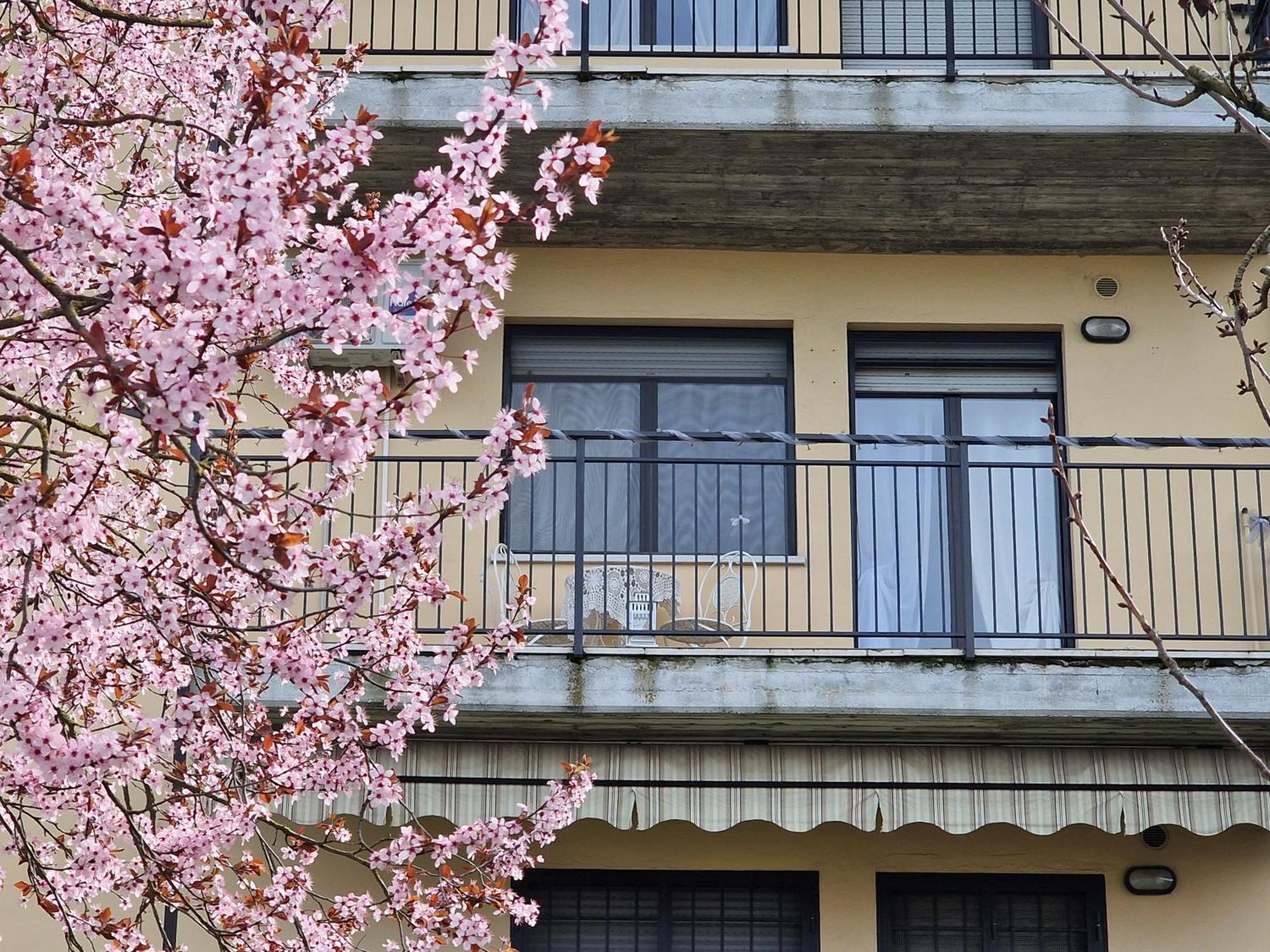 Appartamento Divino Tramonto Altedo Exterior photo